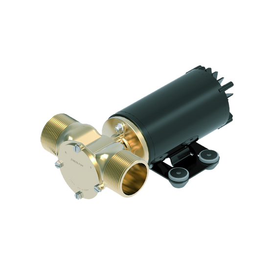 Johnson Tallulah HF Pump (S2001), 30 GPM, brass and black, with pipe fittings.