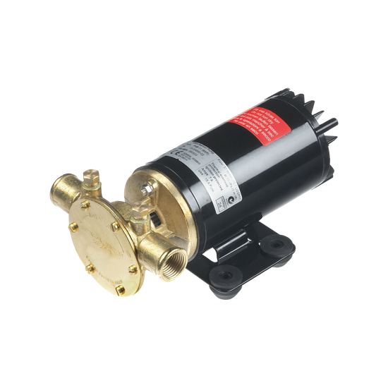 Johnson Tallulah Pump (13.5 GPM) (S2002) in brass/black, reversible with base and label.