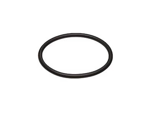 Top view of a black circular Replacement O-Ring for FATSAC fittings.